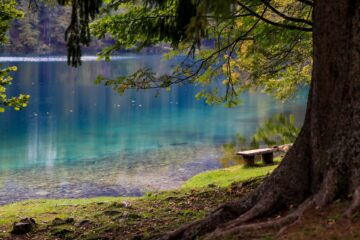 Le calme d'un lac permet d'en voir sa profondeur.